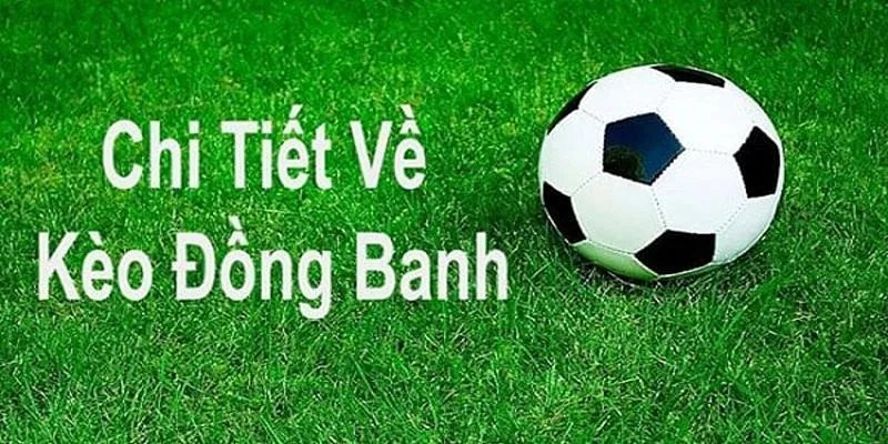 Thông tin cơ bản việc bắt kèo